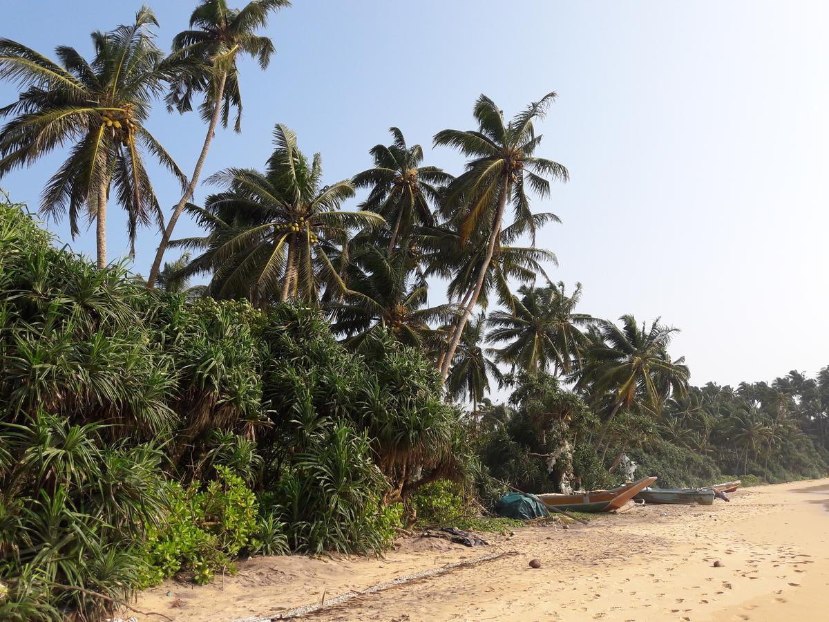 Leatherback Beach Villa Ahungalla Exteriör bild