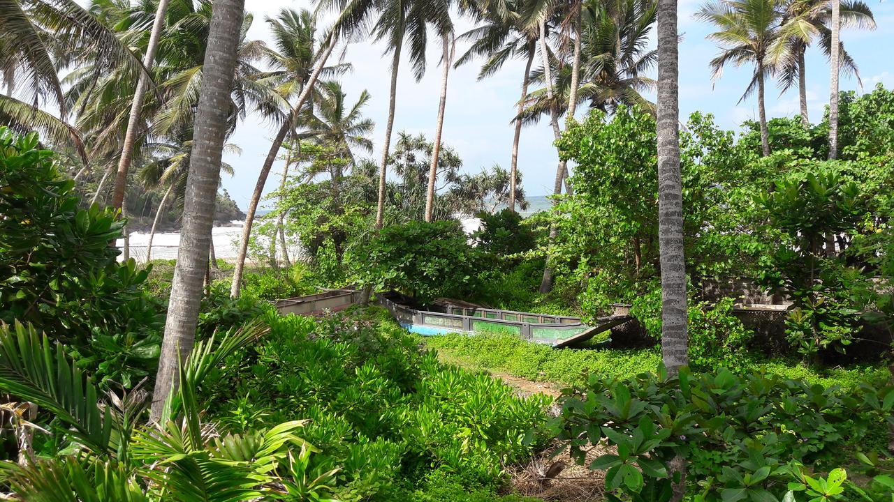 Leatherback Beach Villa Ahungalla Exteriör bild