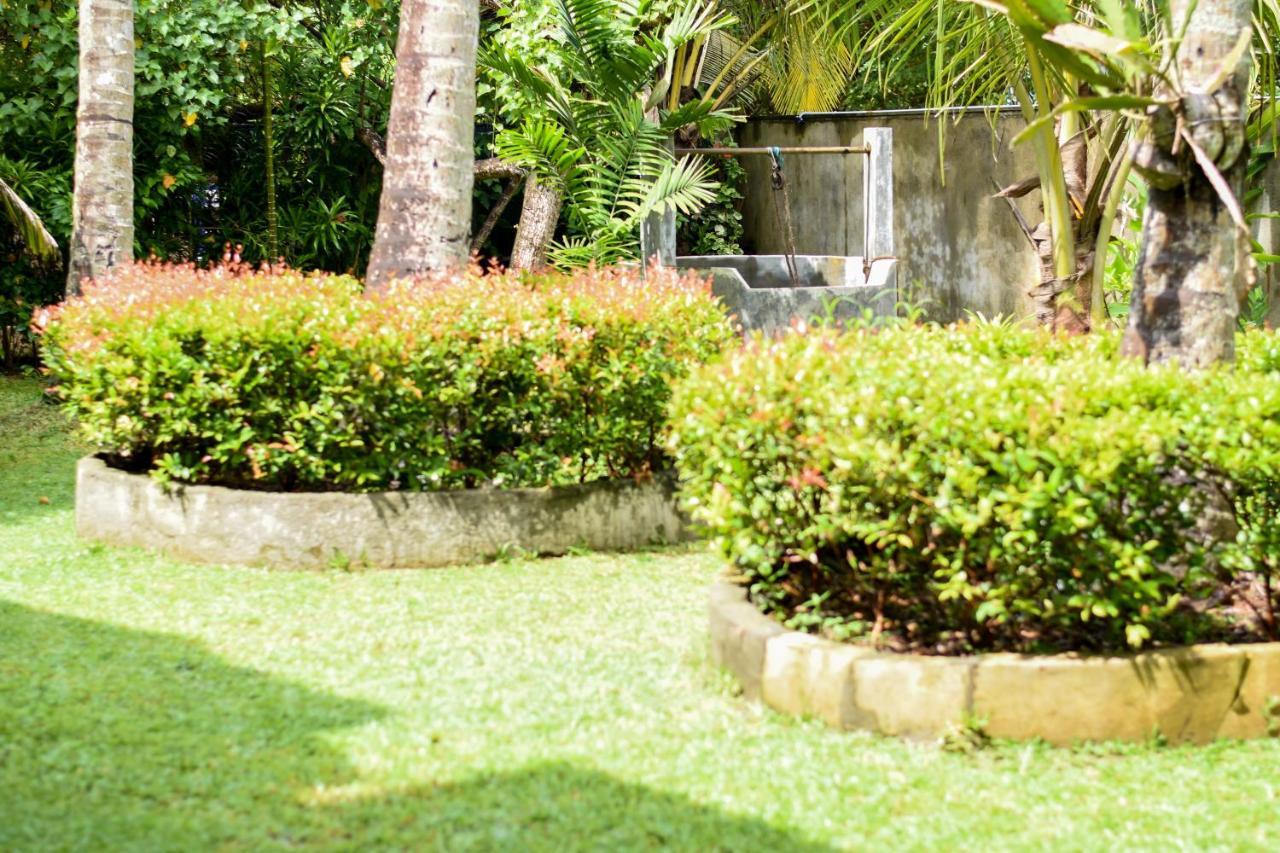 Leatherback Beach Villa Ahungalla Exteriör bild