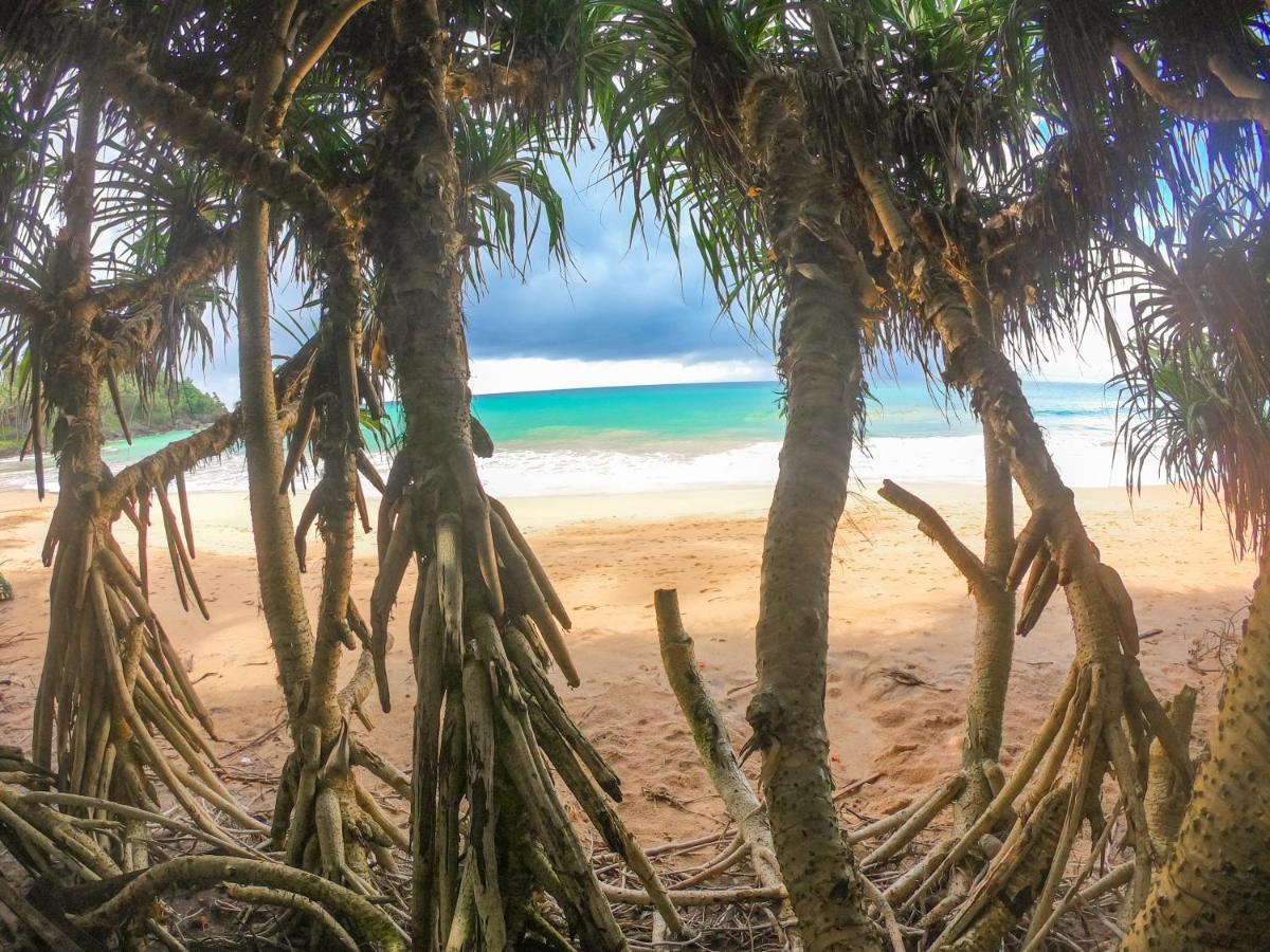 Leatherback Beach Villa Ahungalla Exteriör bild